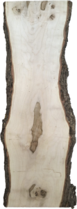Holzplatte Ahorn | 21001