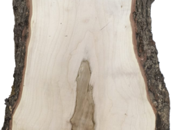 Holzplatte Ahorn | 21001