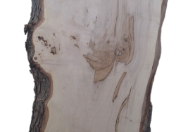 Holzplatte Ahorn | 21002