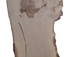 Holzplatte Ahorn | 21003