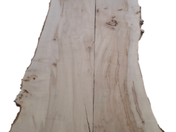 Holzplatte Ahorn | 21004