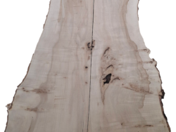 Holzplatte Ahorn | 21005
