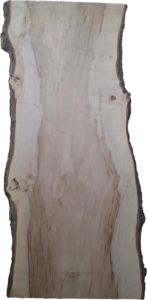 Holzplatte Ahorn | 21006