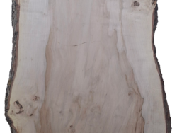 Holzplatte Ahorn | 21006