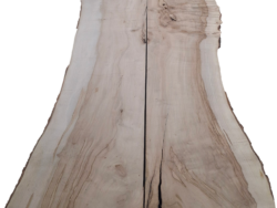 Holzplatte Ahorn | 21007