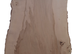 Holzplatte Ahorn | 21008