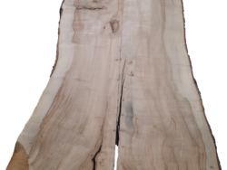 Holzplatte Ahorn | 21009