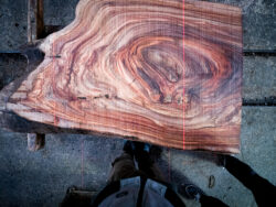 Holzplatte Ulme 21016