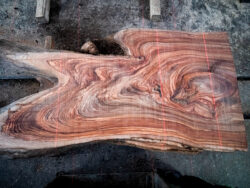 Holzplatte Ulme 21018