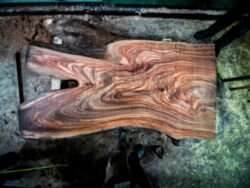 Holzplatte Ulme 21019