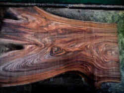 Holzplatte Ulme 21020