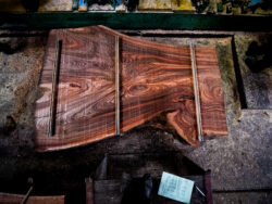 Holzplatte Ulme 21021