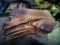 Holzplatte Ulme 21028