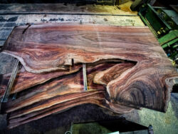 Holzplatte Ulme 21029