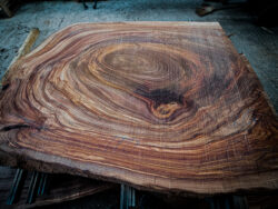 Holzplatte Ulme 21034
